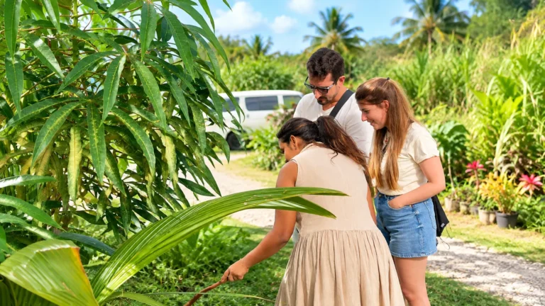 Living gardens at Heritage Spice House, Riambel
