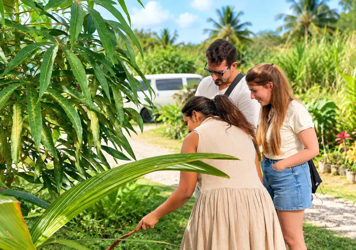 Living gardens at Heritage Spice House, Riambel